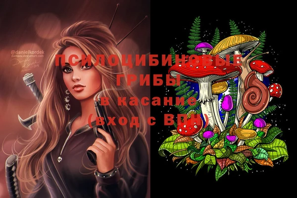 ГАЛЛЮЦИНОГЕННЫЕ ГРИБЫ Приозерск