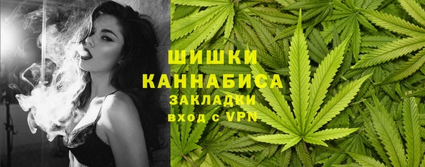ГАЛЛЮЦИНОГЕННЫЕ ГРИБЫ Приозерск