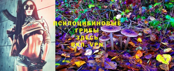ГАЛЛЮЦИНОГЕННЫЕ ГРИБЫ Приозерск