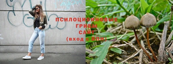 ГАЛЛЮЦИНОГЕННЫЕ ГРИБЫ Протвино