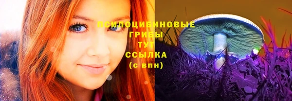 ГАЛЛЮЦИНОГЕННЫЕ ГРИБЫ Протвино