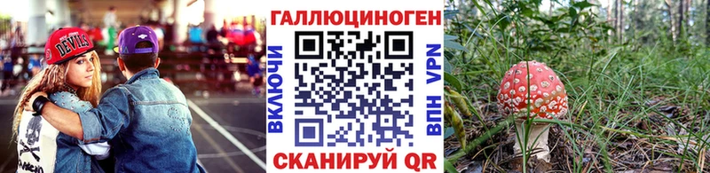 Псилоцибиновые грибы GOLDEN TEACHER Сокол