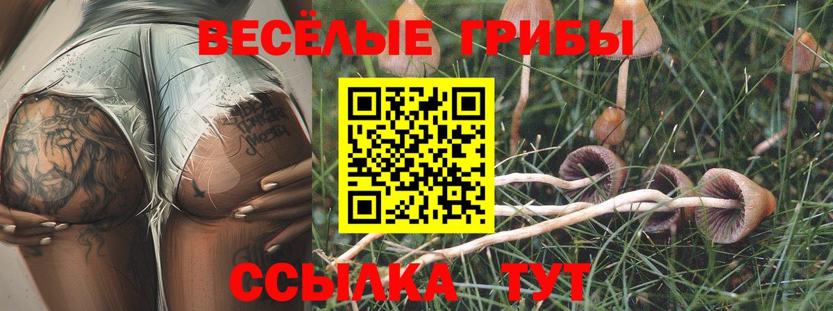 Псилоцибиновые грибы ЛСД Сокол