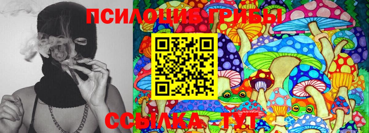 Сокол  Галлюциногенные грибы Psilocybine cubensis  Вход с VPN 