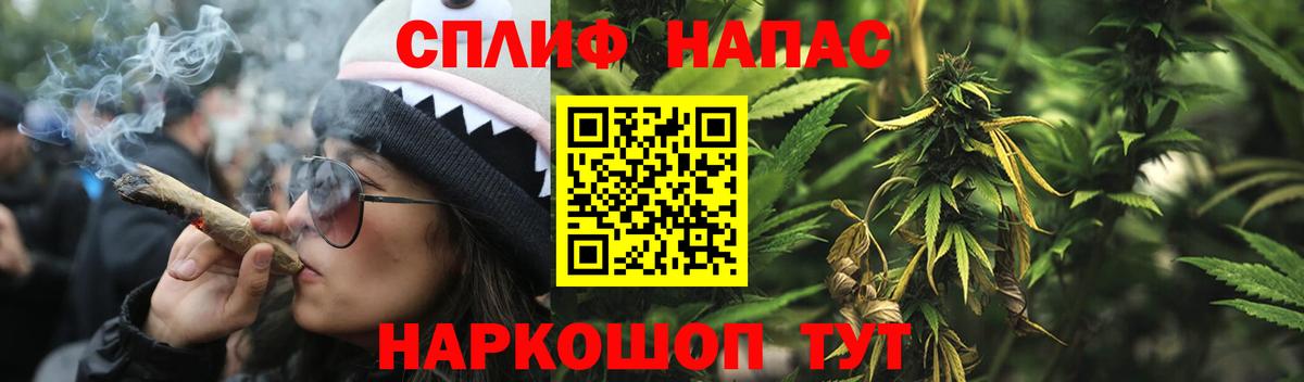 Сокол  Марихуана THC 21%  Вход с VPN  Конопля OG Kush  Конопля MAZAR  МАРИХУАНА Ganja 